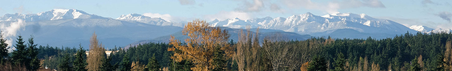 panoramic of mountains and trees